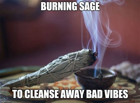 Burning sage meme - 25 Sage Memes ranked in order of popularity and relevancy. At MemesMonkey.com find thousands of memes categorized into thousands of categories. Toggle navigation Memes Monkey ... Me Burning Sage Smudge Meme, Meme on ME.ME. me.me. me.me. helpful non helpful [Image, 170393], Sage, K, Your Meme. knowyourmeme.com. …